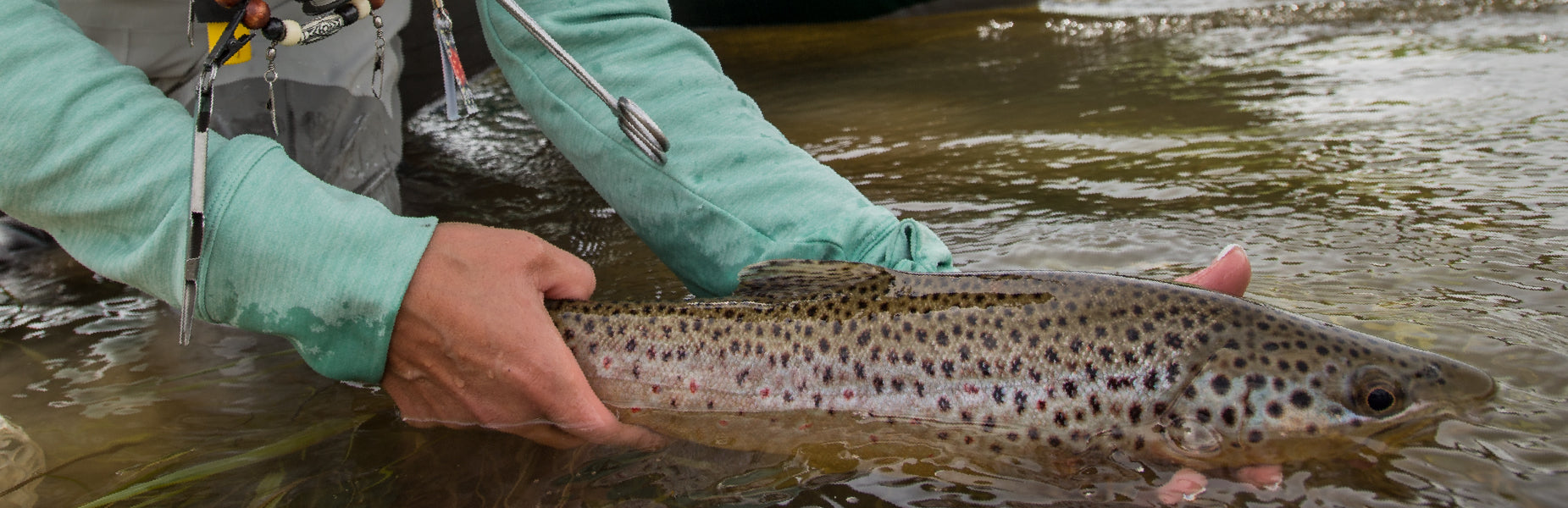 Spring Creeks Fishing Report Simms The Rivers Edge
